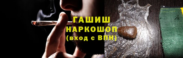 гидра Богданович