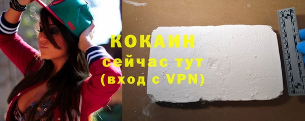гидра Богданович