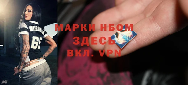 гидра Богданович