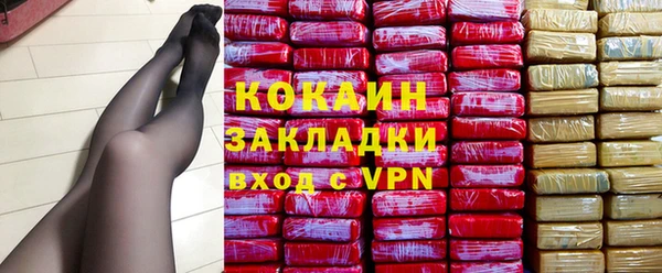 гидра Богданович