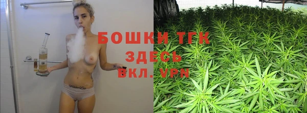 гидра Богданович