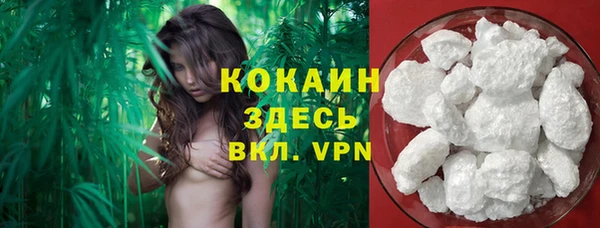 гидра Богданович