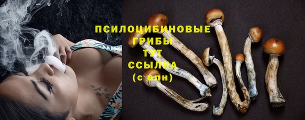 гидра Богданович