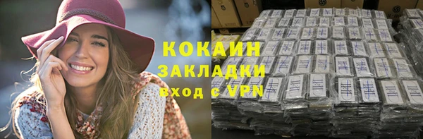 гидра Богданович