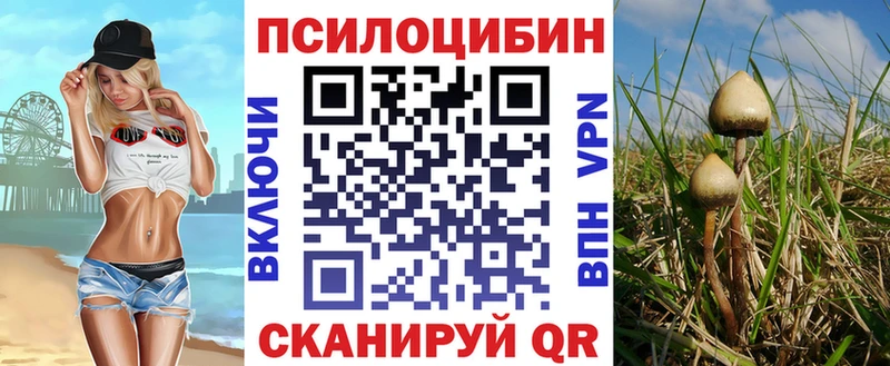 даркнет сайт  Монино  Псилоцибиновые грибы мухоморы 